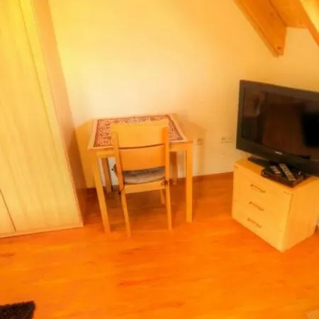 Gaestehaus Ritter Apartment Sinsheim