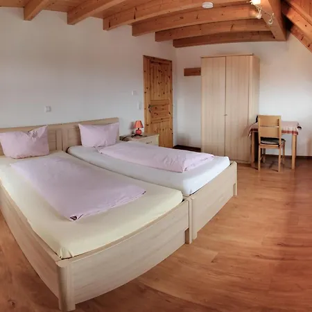 Apartment Gaestehaus Ritter Sinsheim