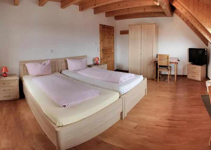 Lägenhet Gaestehaus Ritter Sinsheim